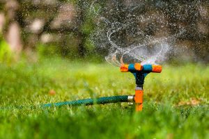 Best lawn and garden sprayers