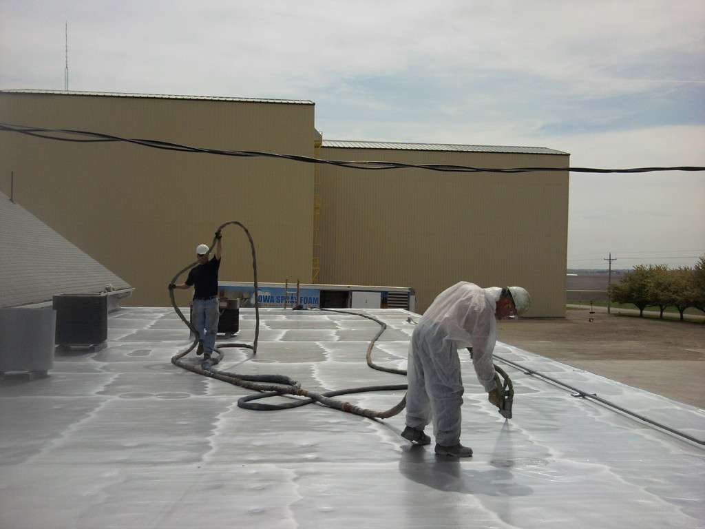 best service of waterproofing Bexley