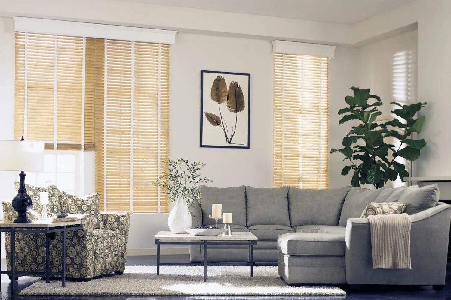 blinds and shutters northern beaches