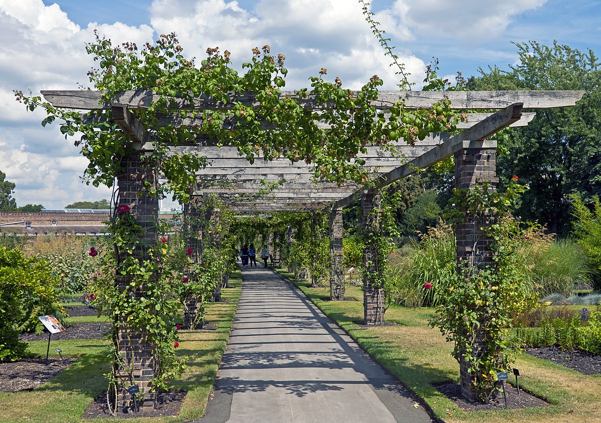 pergola blacktown