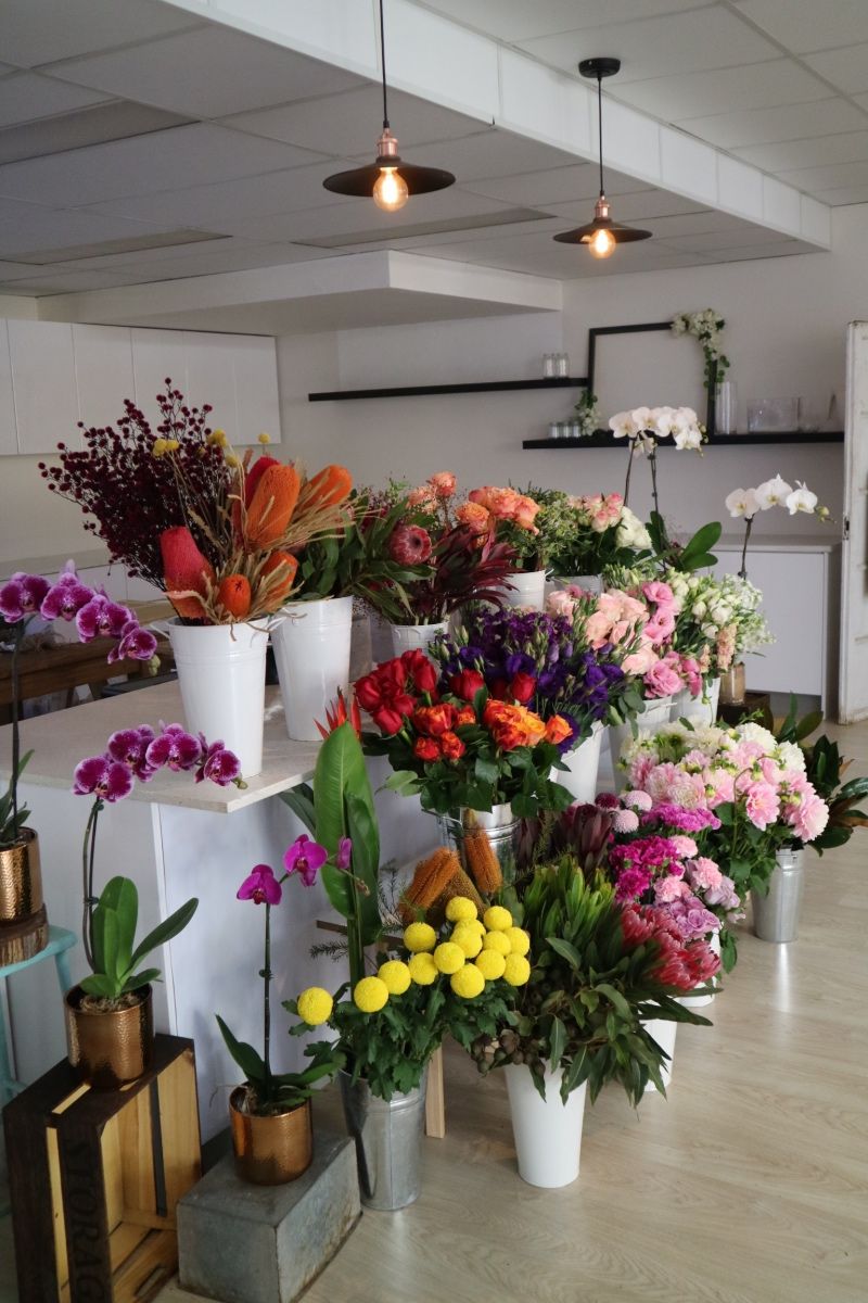 Plant shops in Alexandria