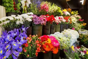 flower-shop-chicago-virtual-tour-360-IMG_0477
