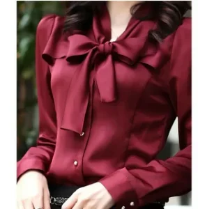Modest Blouse