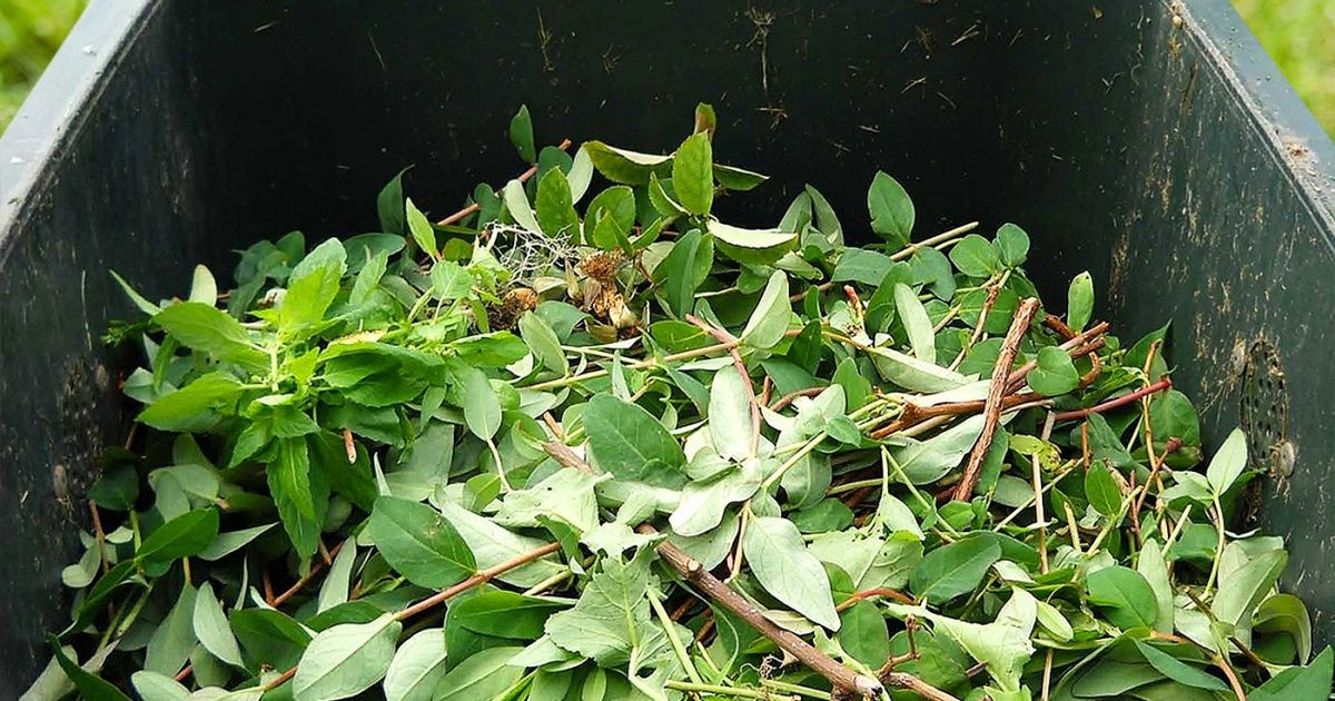 green waste collection
