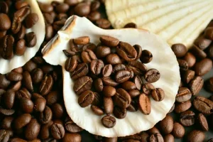 coffee suppliers