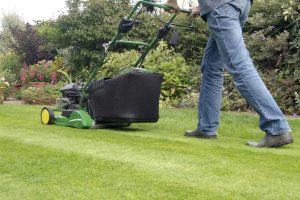 lawn battery