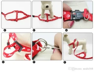 wholesale dog leashes