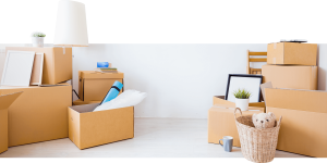 Removalists9