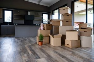Your Moving Journey: Expert Tips on Choosing a Removalist in Five Dock