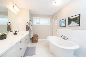 Bathroom Renovations Hills District