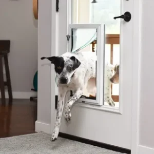 dog door installers sutherland shire