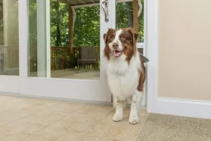 Sliding Glass Door Pet Door