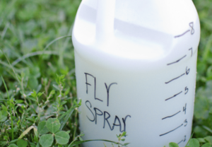 fly repellent spray