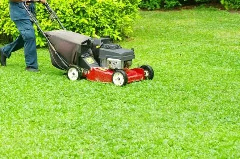 Lawn Mowing Sydney