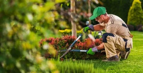 landscaper