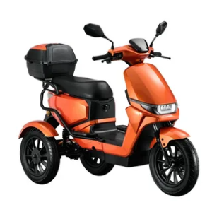 electric bike rental