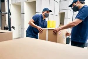 removalist Schofields