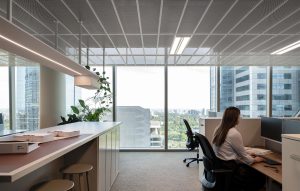 Commercial Suspended Ceiling