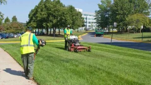 Landscape Contractors