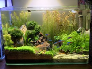 accessories fish tank