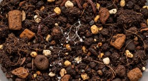 organic potting mix