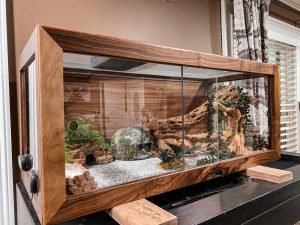 Reptile enclosures near me